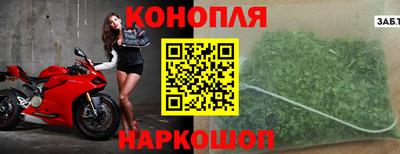 крисы Аргун