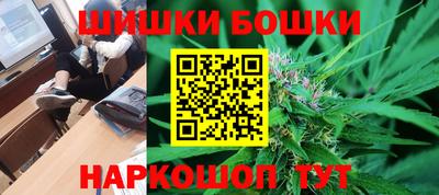крисы Аргун