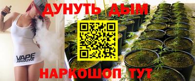 крисы Аргун
