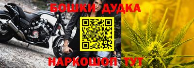 крисы Аргун