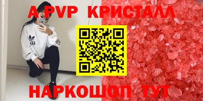 крисы Аргун