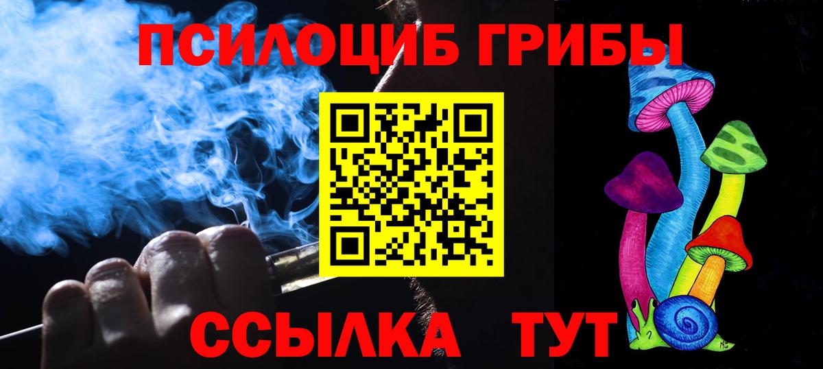 Выкса  Псилоцибиновые грибы прущие грибы  Вход с VPN  Галлюциногенные грибы GOLDEN TEACHER 